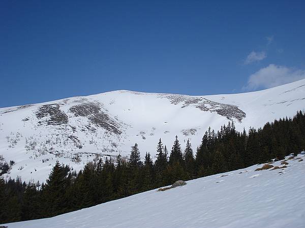 06 Ein Blick nach oben